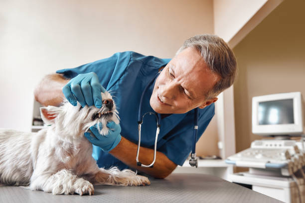 Best Emergency Treatment for Toothache in Mayodan, NC